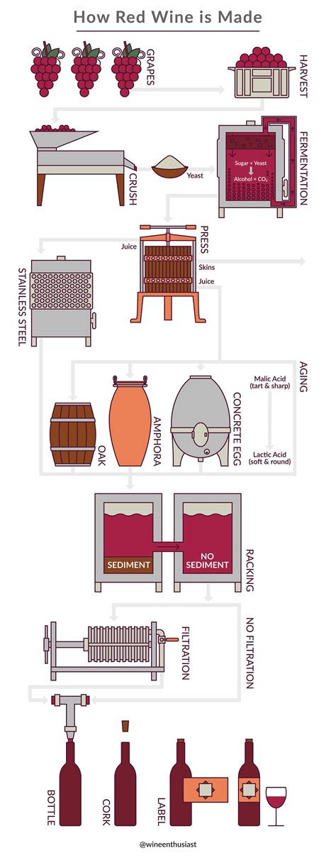 Infographic showing the process of making risotto with red wine