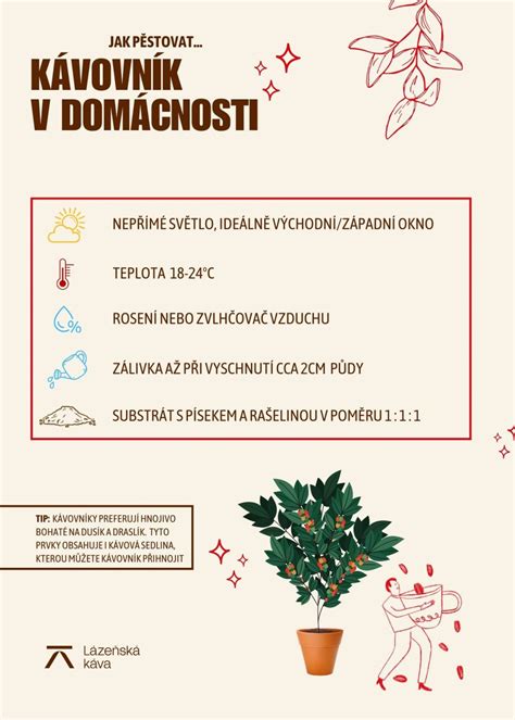 Infografika: Koraki priprave lokuma doma