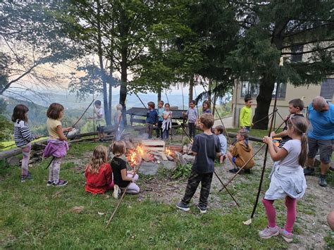Tematska fotografija romantičnega piknika v naravi z sendviči in pijačo