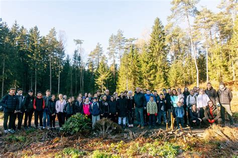 Tematska fotografija javorjevih dreves in zbiranja soka