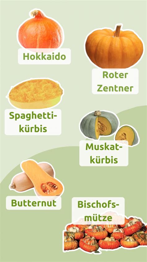 Infografik: Verschiedene Kürbisarten für Püree