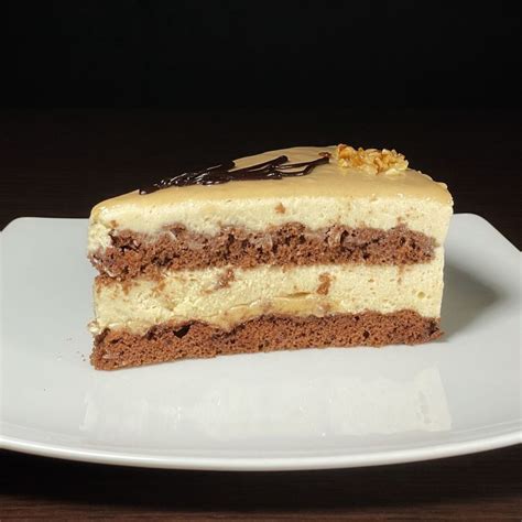Shematski prikaz plastenja torte: biskvit, jogurtova krema, marelična krema in preliv.