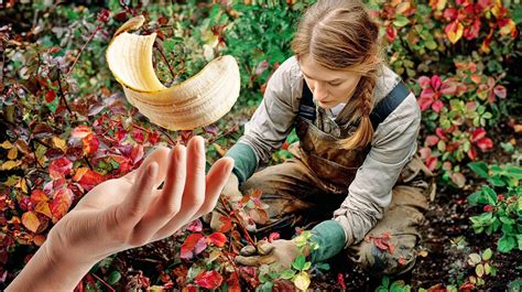 fotografija vrta z zakopanimi bananinimi olupki