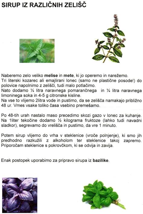 Infografika različnih zelišč in začimb, ki se podajo k paradižnikovi omaki